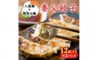八鹿豚味わう養父餃子(要冷凍/12個入り)×2パック【1418071】