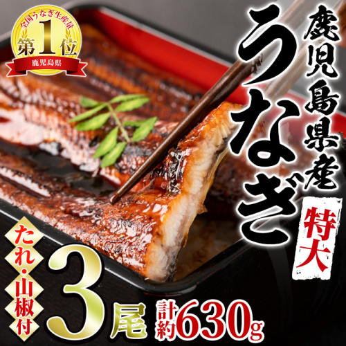 【0234303a】東串良町のうなぎ蒲焼(無頭)(3尾・計約630g・タレ、山椒付)うなぎ 高級 ウナギ 鰻 国産 蒲焼 蒲焼き たれ 鹿児島 ふるさと 人気【アクアおおすみ】