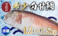 白 甘鯛 1.3～1.5kg 冷蔵 高級 魚 鮮魚 シロ アマダイ 鯛 下処理 済み 新鮮 下関 唐戸市場 直送