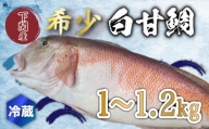 白 甘鯛 1～1.2kg 冷蔵 高級 魚 鮮魚 シロ アマダイ 鯛 下処理 済み 新鮮 下関 唐戸市場 直送