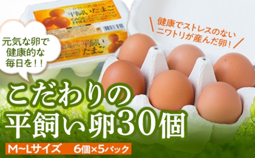 こだわりの平飼い卵３０個（6個×5パック）