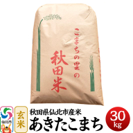 【一等米】秋田県仙北市産米 令和7年産 あきたこまち 玄米 30kg＜藤村本店＞30キロ