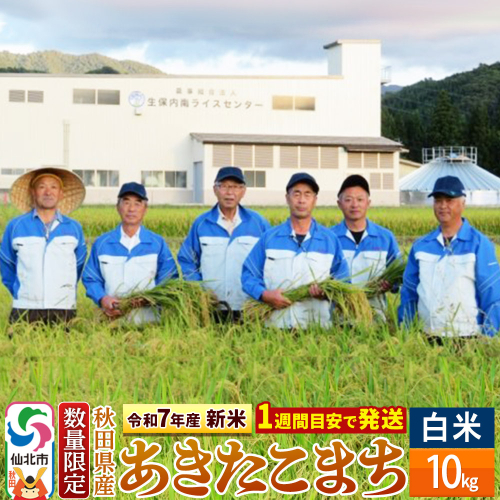 ＜令和7年産 新米＞【白米】あきたこまち 10kg（10kg×1袋）精米  秋田県仙北市産 10キロ 964063 - 秋田県仙北市