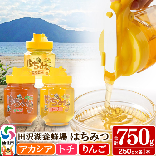 秋田県産はちみつ（アカシア・トチ・リンゴ）250g×各1本 合計750g 化粧箱入り 詰め合わせセット 田沢湖養蜂場 964143 - 秋田県仙北市