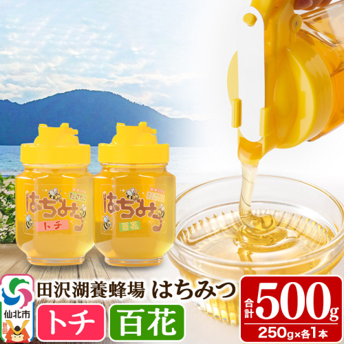 秋田県産はちみつ（トチ・百花）250g×各1本 合計500g 化粧箱入り 詰め合わせセット 田沢湖養蜂場 964147 - 秋田県仙北市