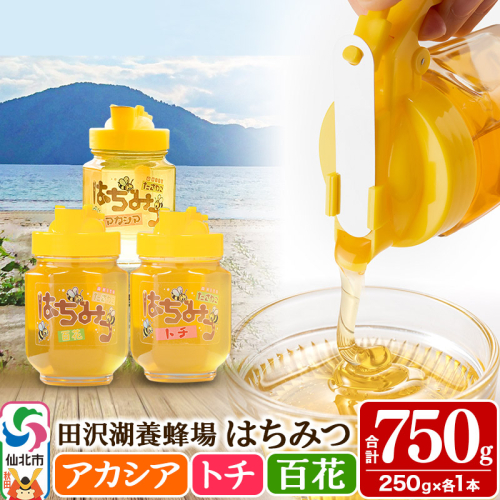 秋田県産はちみつ（アカシア・トチ・百花）250g×各1本 合計750g 化粧箱入り 詰め合わせセット 田沢湖養蜂場 964153 - 秋田県仙北市