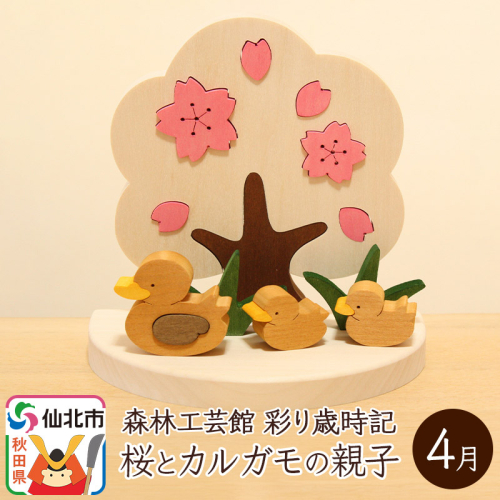 彩り歳時記4月 桜とカルガモの親子＜あきた芸術村 森林工芸館＞ 964166 - 秋田県仙北市