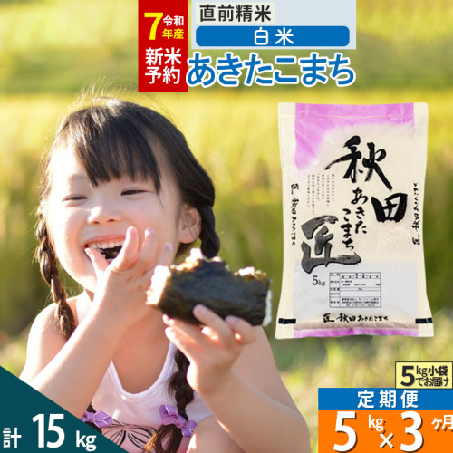 【白米】＜令和7年産 新米予約＞ 《定期便3ヶ月》秋田県産 あきたこまち 5kg (5kg×1袋)×3回 5キロ お米  新米 964232 - 秋田県仙北市
