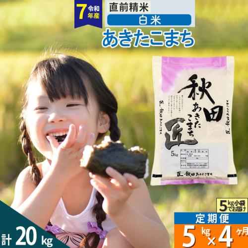 【白米】＜令和7年産＞ 《定期便4ヶ月》秋田県産 あきたこまち 5kg (5kg×1袋)×4回 5キロ お米 匠  964234 - 秋田県仙北市