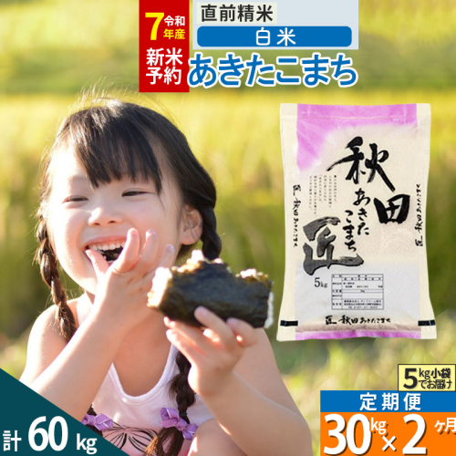【白米】＜令和7年産 新米予約＞ 《定期便2ヶ月》秋田県産 あきたこまち 30kg (5kg×6袋)×2回 30キロ お米  新米 964296 - 秋田県仙北市