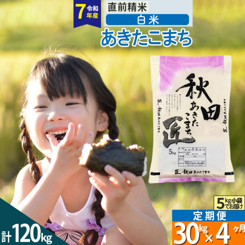 【白米】＜令和7年産＞ 《定期便4ヶ月》秋田県産 あきたこまち 30kg (5kg×6袋)×4回 30キロ お米 匠  964298 - 秋田県仙北市