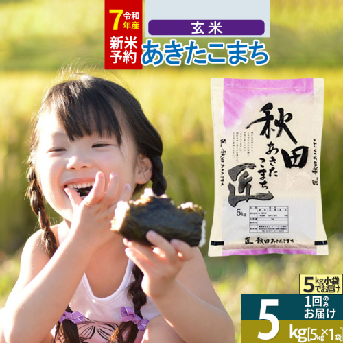 【玄米】＜令和7年産 新米予約＞ 秋田県産 あきたこまち 5kg (5kg×1袋) 5キロ お米 新米 964307 - 秋田県仙北市