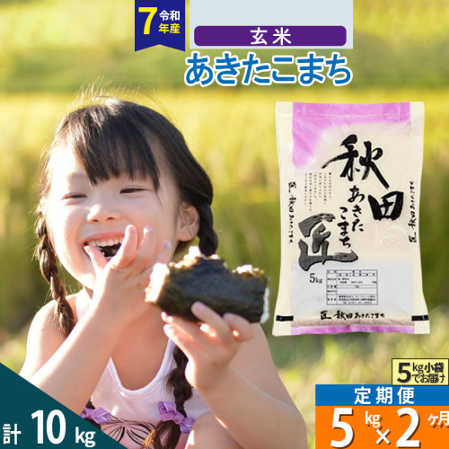 【玄米】＜令和7年産＞《定期便2ヶ月》秋田県産 あきたこまち 5kg (5kg×1袋)×2回  964308 - 秋田県仙北市