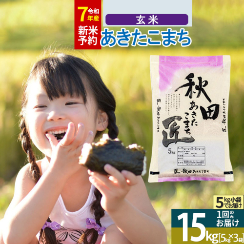 【玄米】＜令和7年産 新米予約＞ 秋田県産 あきたこまち 15kg (5kg×3袋) 15キロ お米 新米 964343 - 秋田県仙北市