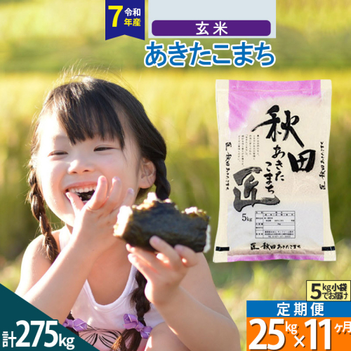 【玄米】＜令和7年産＞ 《定期便11ヶ月》秋田県産 あきたこまち 25kg (5kg×5袋)×11回 25キロ お米 匠  964377 - 秋田県仙北市
