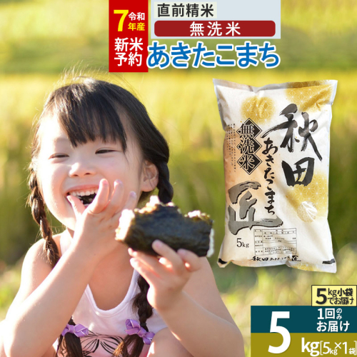 【無洗米】＜令和7年産 新米予約＞秋田県産 あきたこまち 5kg (5kg×1袋) 5キロ お米 新米 964796 - 秋田県仙北市