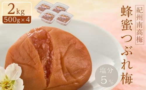 紀州南高梅 蜂蜜つぶれ梅 塩分5％ 2kg (500g×4) ［Kn23］ 965351 - 和歌山県上富田町