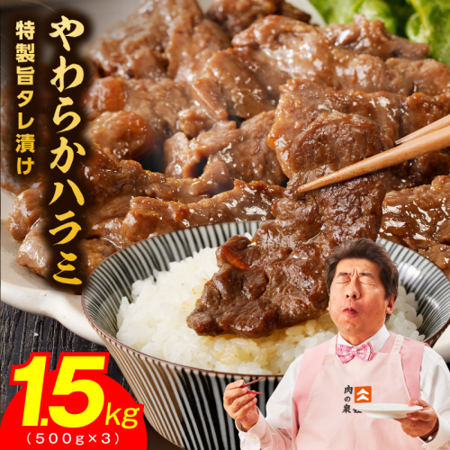 やわらかハラミ 1.5kg【氷温熟成×特製旨ダレ 味付き 牛肉 訳あり 不揃い 焼肉 BBQ 野菜炒め】 mrz0245 965474 - 大阪府泉佐野市