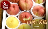 《先行予約 令和6年8月下旬発送》山形県産 白桃×黄桃 秀品 約3kg FSY-0757