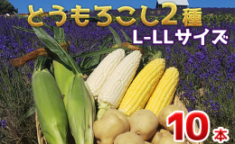 【オンライン決済限定商品】 ラベンダーが香る、かんのファームにて栽培されたトウモロコシです。 ホワイトコーン（雪の妖精、ピュアホワイトなど）は柔らかい食感とフルーツに迫る糖度が特徴。 黄色のイエローコ