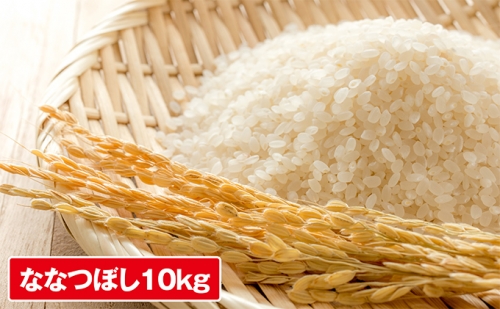 JAきょうわ米  ななつぼし10kg 96563 - 北海道共和町