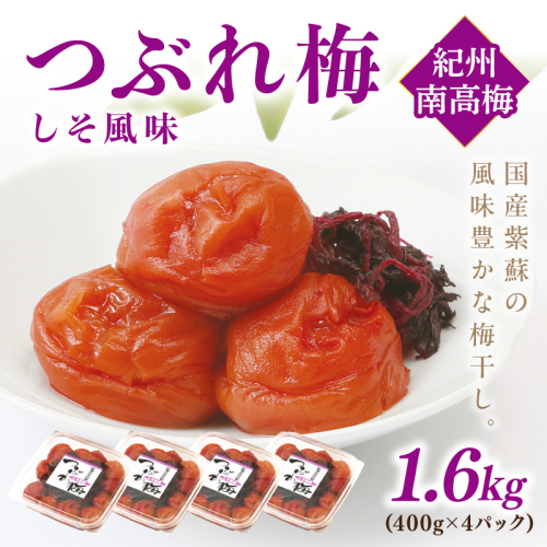 紀州南高梅つぶれ梅 しそ風味1.6kg 965667 - 和歌山県御坊市