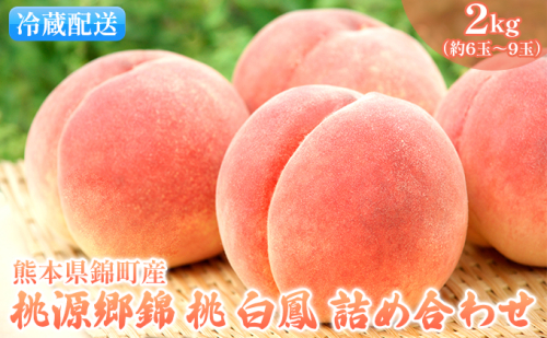 桃 白桃 白鳳 2kg 特製 桃源郷錦 もも モモ フルーツ 果物 デザート 配送不可:離島  96568 - 熊本県錦町