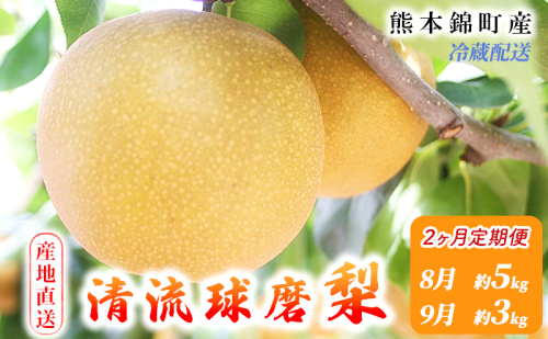 定期便 2回 先行予約 梨 清流錦 豊水 あきづき 新高 かおり 8月 5kg 9月 3kg フルーツ なし ナシ 果物 デザート お楽しみ 2025年発送 配送不可:離島  96570 - 熊本県錦町