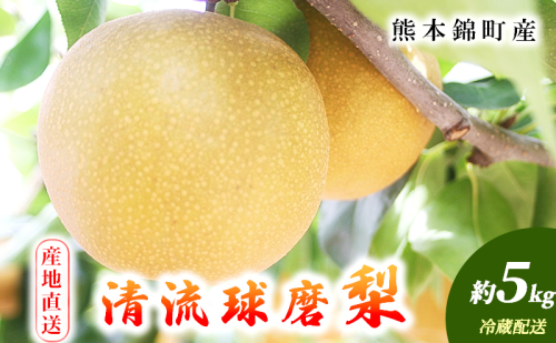 梨 旬 5kg 先行予約 2025年発送 平野果樹園 錦の梨 なし フルーツ 果物 デザート 配送不可:離島  96571 - 熊本県錦町