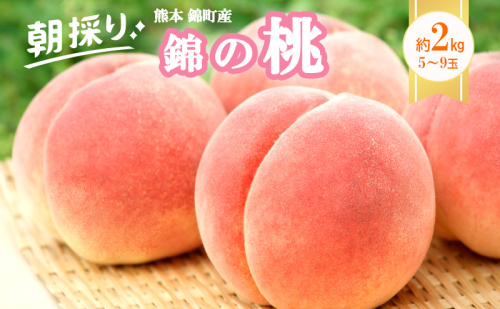 桃 白桃 先行予約 錦の桃 2kg 約5玉～9玉 もも モモ フルーツ 果物 デザート 2025年発送 鎌木果樹園 配送不可:離島  96574 - 熊本県錦町