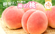 桃 白桃 先行予約 錦の桃 2kg 約5玉～9玉 もも モモ フルーツ 果物 デザート 2025年発送 鎌木果樹園 配送不可:離島