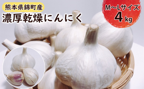 乾燥 にんにく（嘉定種）M～Lサイズ 4kg 野菜 根菜 薬味  96590 - 熊本県錦町