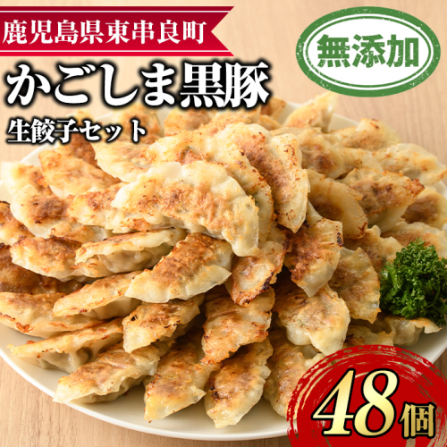 【0125122a】鹿児島黒豚生餃子セット(12個入×4パック・計48個)黒豚 豚肉 ぶた肉 餃子 ギョウザ ぎょうざ 惣菜【鹿児島ますや】 966014 - 鹿児島県東串良町
