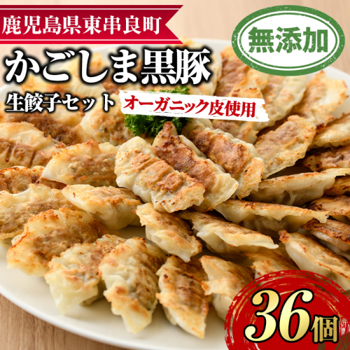【0125107a】オーガニック皮使用！鹿児島黒豚生餃子セット(12個入×3パック・計36個)黒豚 豚肉 ぶた肉 餃子 ギョウザ ぎょうざ 惣菜【鹿児島ますや】 966015 - 鹿児島県東串良町