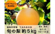 No.2655【先行予約】福島うもれ木の会の梨　特別栽培　約5kg【2024年発送】