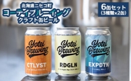 【北海道ニセコ町】ヨーテイブルーイング　クラフト缶ビール6缶セット（３種類×２缶）【09044】