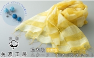 021N610-2 草木染スカーフ【小鮒草】・濃藍ピアスセット[高島屋選定品］