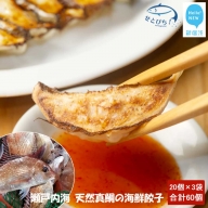 愛媛県産 瀬戸内海 天然 真鯛の海鮮餃子 20個×3袋 合計60個 生ギョーザ 冷凍 国産