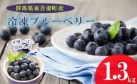 【東吾妻産】冷凍ブルーベリー 約1.3kg