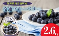 【東吾妻産】冷凍ブルーベリー 約2.6kg