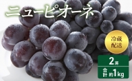 ニューピオーネ 2房 合計約1kg 冷蔵配送 ぶどう 葡萄 フルーツ 果物 岡山