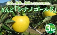 東御市産りんご長野県オリジナル品種「シナノゴールド」3kg ※10月下旬～11月下旬ごろお届け予定