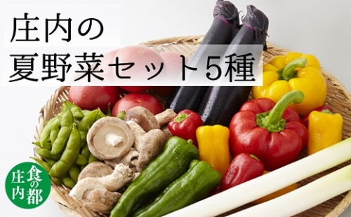 食の都庄内　庄内の夏野菜セット5種 967488 - 山形県三川町