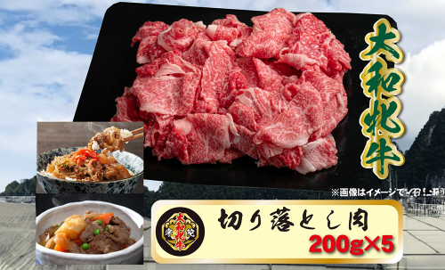 (冷凍) 大和牝牛 切り落とし肉 200g×5 YMKO1 ／牛丼 肉じゃが 焼肉 バーベキュー アウトドア キャンプ 贈答用 贈り物 太田家 奈良県 宇陀市 ふるさと納税 967570 - 奈良県宇陀市