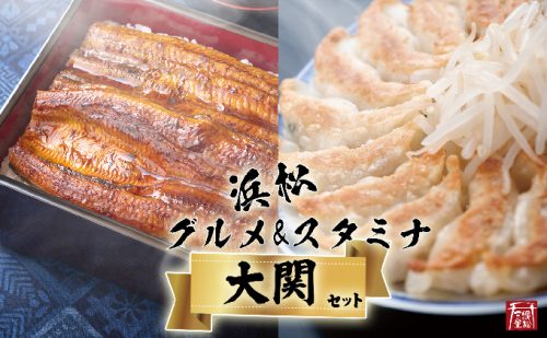 (SF29)浜松グルメ&スタミナセット「大関」浜名湖うなぎ大蒲焼9尾+白焼き+肝焼き+浜松餃子90粒 96763 - 静岡県浜松市