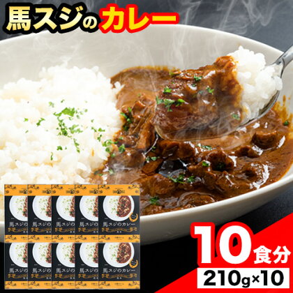 たっぷり！馬スジカレー 10食セット 千興ファーム《60日以内に出荷予定(土日祝除く)》馬スジ カレー お肉 馬すじ カレーライス 馬肉 贈答 ギフト グルメ お取り寄せ 熊本県 御船町 送料無料 個包装 大人気 簡単調理 968202 - 熊本県御船町