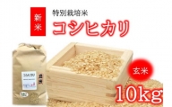コシヒカリ（特別栽培米）玄米 10㎏（新米予約9月以降発送）【1-374】