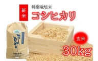 コシヒカリ（特別栽培米）玄米 30㎏（新米予約9月以降発送）【3-150】