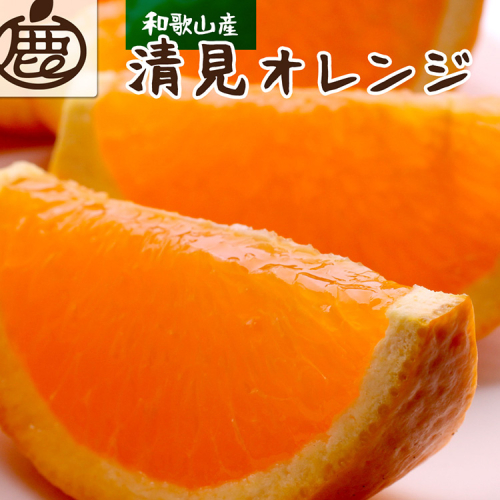 ＜2月より発送＞厳選 清見オレンジ5kg+150g（傷み補償分）【光センサー食頃出荷】【樹上完熟きよみオレンジ・清見タンゴール・清美】
※北海道・沖縄・離島への配送不可
※2025年2月上旬～3月下旬頃に順次発送予定 969270 - 和歌山県美浜町