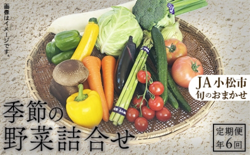《JA小松市 定期便６ヶ月》季節の野菜詰合せ 054003 969587 - 石川県小松市